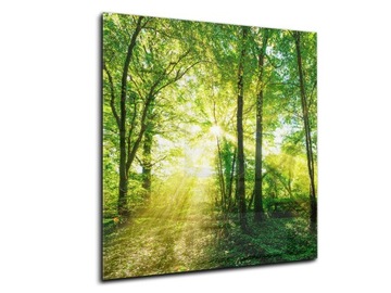 panel szklany do kuchni lacobel 60x65 las