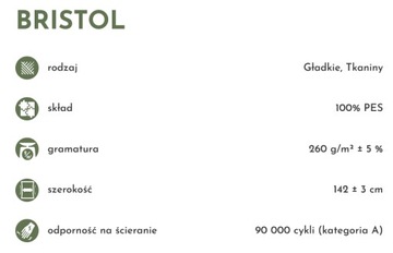 Бристоль 2458 временная шкала ткани, устойчивая к пятнам и заполнению