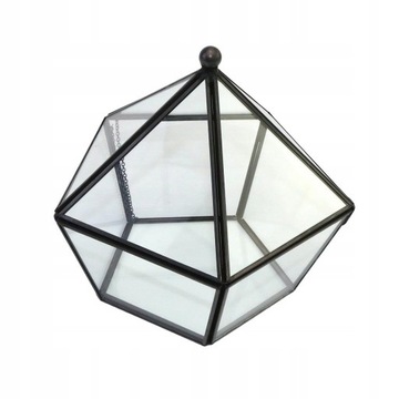 Современный геометрический стеклянный ящик для