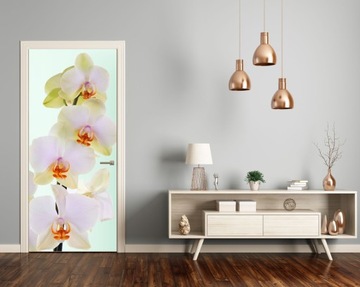 ФОТОобои шпон дверная пленка ЦВЕТЫ ОРХИДЕИ