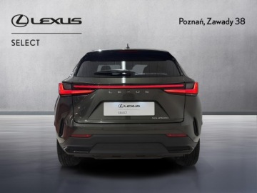 Lexus NX II SUV Facelifting 2.5 450h+ 309KM 2024 Lexus NX 450h+ Prestige AWD II (2021-) Lexus NX 45, zdjęcie 6