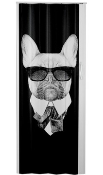 DRZWI HARMONIJKOWE EYES POP ART (1)