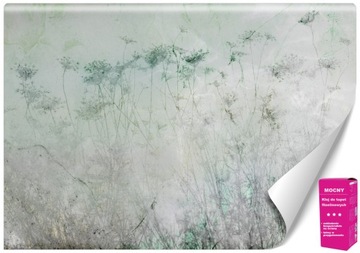 Fototapeta 3d Babie lato zielony Dmuchawce Natura