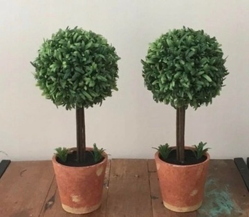 ЗАЩИТНЫЕ НОЖНИЦЫ ДЛЯ УХОДА ЗА КОМНАТНЫМИ РАСТЕНИЯМИ