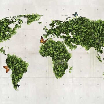 FOTOTAPETA 200x154 +KLEJ, Zielona Mapa, Natura