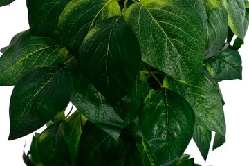 УКРАШЕНИЕ ЛИСТЬЯМИ ИСКУССТВЕННОГО ДЕРЕВА ЦВЕТОЧНЫЙ ГОРШОК ДЛЯ УКРАШЕНИЯ ГОСТИНОЙ КОМНАТЫ