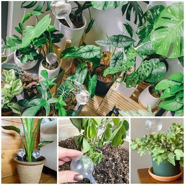 10 шариков для орошения цветов, устройство для орошения шариков для полива цветов