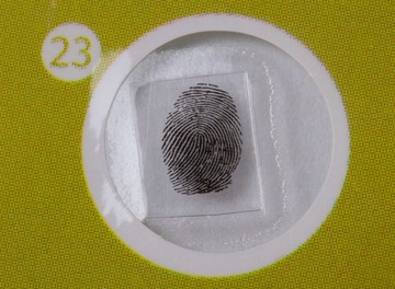 Препараты растений для микроскопа, готовые образцы/набор LabZZ P12