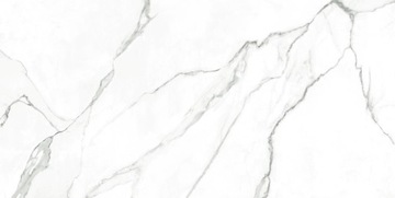 Керамическая плитка Ecoceramic Saigon White 60X120 1,44 / 2 шт.