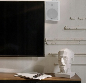 IP55 240 Вт 5,25 дюйма WIFI BT установочные динамики