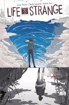 Plakat OBRAZY Life is Strange 2 Before the Storm Video Game