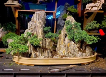 Набор камней для аквариума Tree Slate 3 кг