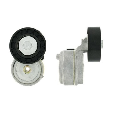 Napinacz Paska Wzdłużnego VKMCV52004 SKF