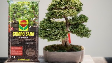 БОНСАЙ-ПОЧВА ДЛЯ ФИКУСА FICUS 5L COMPO SANA