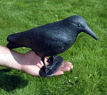 БОЛЬШОЙ СЫРЬЕ, ОТПУСКАТЕЛЬ ПТИЦ, ГОЛУБИ, ДЛЯ БАЛКОНА