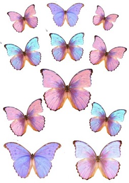 MOTYLE MOTYLKI WAFLOWE NA TORT 3D 11szt [3-5,5cm]