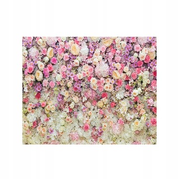 Photography Backdrop Pictures 3