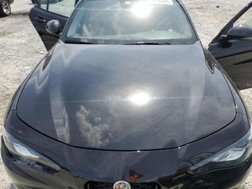 Alfa Romeo Giulia II Sedan Facelifting 2.0 Turbo 280KM 2021 Alfa Romeo Giulia Sport 2021 2.0l 2.0 Benzyna 280KM, zdjęcie 6