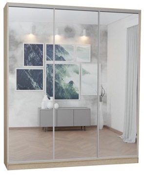 SZAFA 3D 200x250 - WYSOKA - SONOMA - LUSTRO P