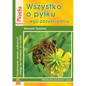 Książka 