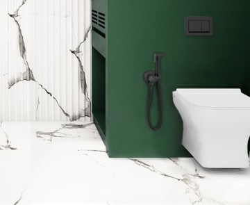 STELAŻ podtynkowy czarny +MISKA WC z funkcją BIDET