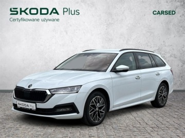 Skoda Octavia IV Kombi 2.0 TDI 150KM 2024 Skoda Octavia 2.0TDI 150KM Ambition DSG l Grzana S