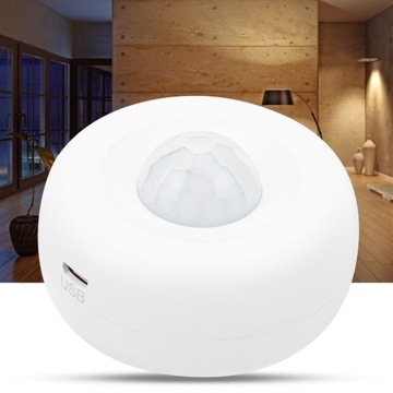 WIFI PIR Детектор движения Инфракрасная сигнализация Система оповещения