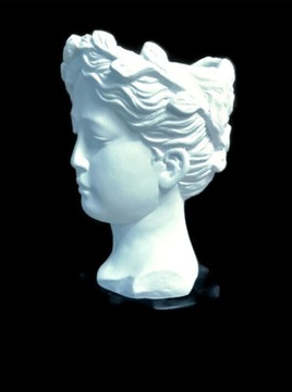 Цветочный горшок Головка H-21 см. Цвет: матовый белый.