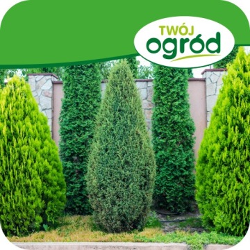 Удобрение для хвойных растений против побурения хвои 1кг CONIFERS TUJE Гранулированное