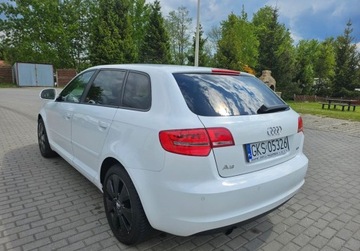 Audi A3 8P Hatchback 3d 1.6 TDI 90KM 2010 Audi A3 5 Drzwi KLIMA 1.6 Diesel 105KM, zdjęcie 13