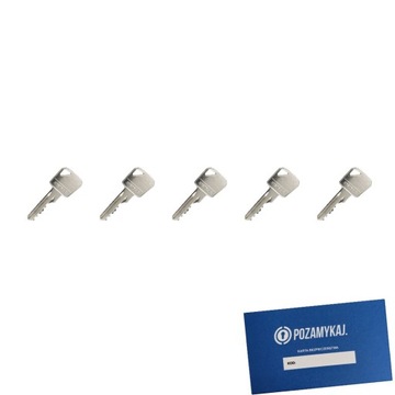 Klucze 5 szt do LOB SYSTEM JEDNEGO KLUCZA A