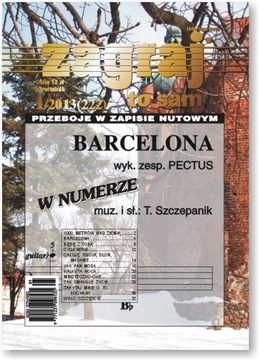Zagraj to sam - nr I/2013 (222)