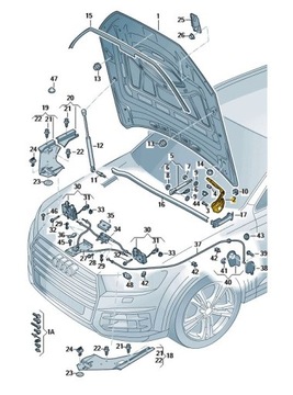 ПЕТЛЯ КАПОТА ПЕРЕДНЯЯ ЛЕВАЯ AUDI Q7 VL0 STANDARD ОРИГИНАЛ ОТ ДИЛЕРА