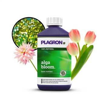 PLAGRON Alga Bloom 1L Nawóz EKOLOGICZNY naturalny z ALG morskich 100% BIO