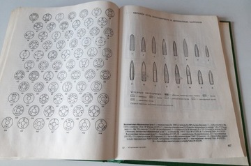 Стрельба из стрелкового оружия по-русски