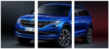 3x OBRAZ NA ŚCIANĘ BLUE SKODA 20x30