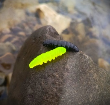 Точная имитация ручейника! Приманка ul xul Caddis Larva