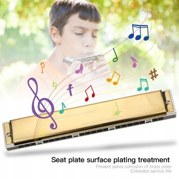 Профессиональная диатоническая губная гармошка для губ.