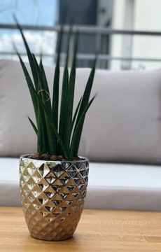 КРЫШКА ДЛЯ ГОРШКА ДЛЯ ОРХИДЕИ 14см ЗОЛОТО ГЛАМУР