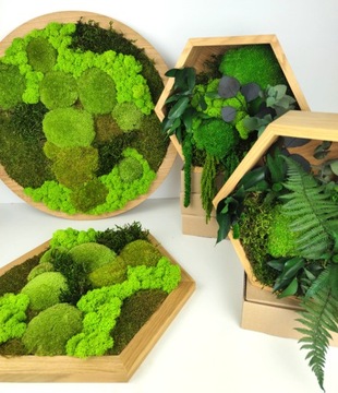 ВЕСЕННЕЕ УКРАШЕНИЕ СТАБИЛИЗИРОВАННЫМИ РАСТЕНИЯМИ И МХОМ