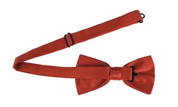 ГАЛСТУК МУЖСКОЙ КИРПИЧНО-КРАСНЫЙ, цвет КРАСНЫЙ