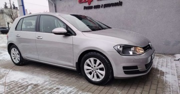 Volkswagen Golf VII Hatchback 3d 1.4 TSI BlueMotion Technology 125KM 2016 Volkswagen Golf Volkswagen Golf 1.4 TSI Comfortline Bezwypadkowy, zdjęcie 12