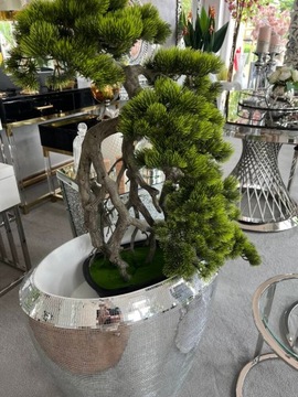 Drzewo Bonsai 74 cm