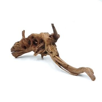 Biorain Roots Natural Tropical Croot Driftwood для террариума M 20-30 см.