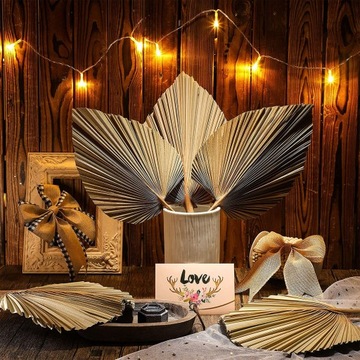 Suszone Liście Palmowe Dekoracja Domu w Stylu Boho