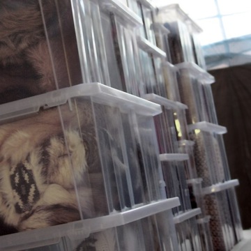 Zestaw Organizer pojemnik z pokrywką NCC12 + NCP12