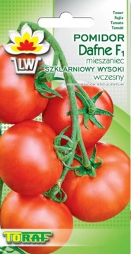 Pomidor DAFNE F1 szklarniowy