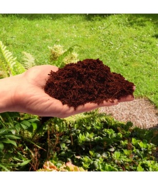 Кокосовые чипсы 5л Кокосовые чипсы BIOVITA