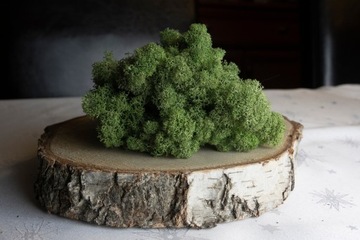 Мох Олений Крабовый МИКС ЦВЕТОВ 750 гр