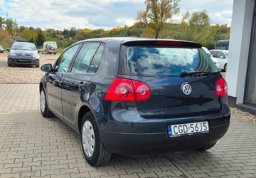 Volkswagen Golf V Hatchback 1.4 i 16V 75KM 2005 Volkswagen Golf 1,4 Ben Klima 1.4 Benzyna 75KM, zdjęcie 3